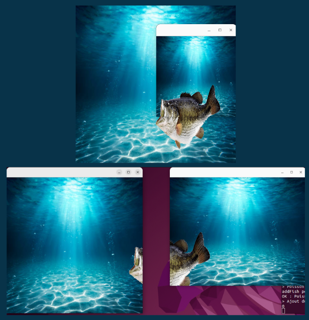 Aquarium partagé